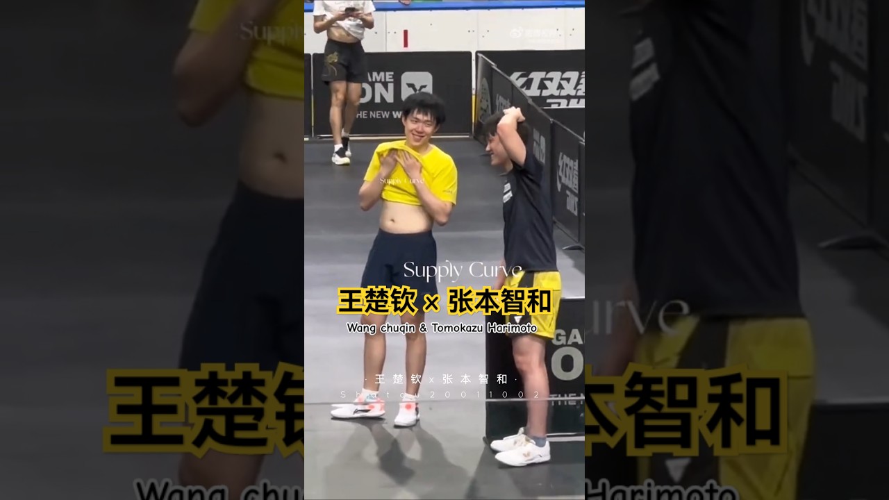 【莎头】王楚钦和张本智和 开心聊天 WANG CHUQIN & TOMOKAZU HARIMOTO CUTE INTERACTIONS