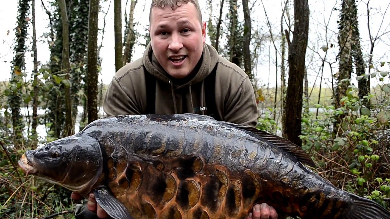 Sandhurst Series pt1# Monster Fish (Is This the best looking carp in England)
