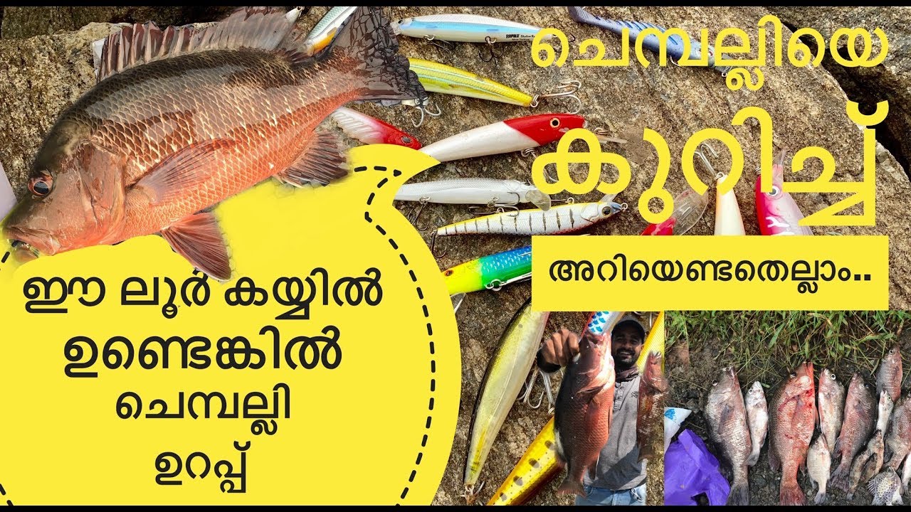 LURE FOR MANGROVE JACK|CHEMBALLI LURES|ചെമ്പല്ലി പിടിക്കാൻ പറ്റിയ ലൂർ