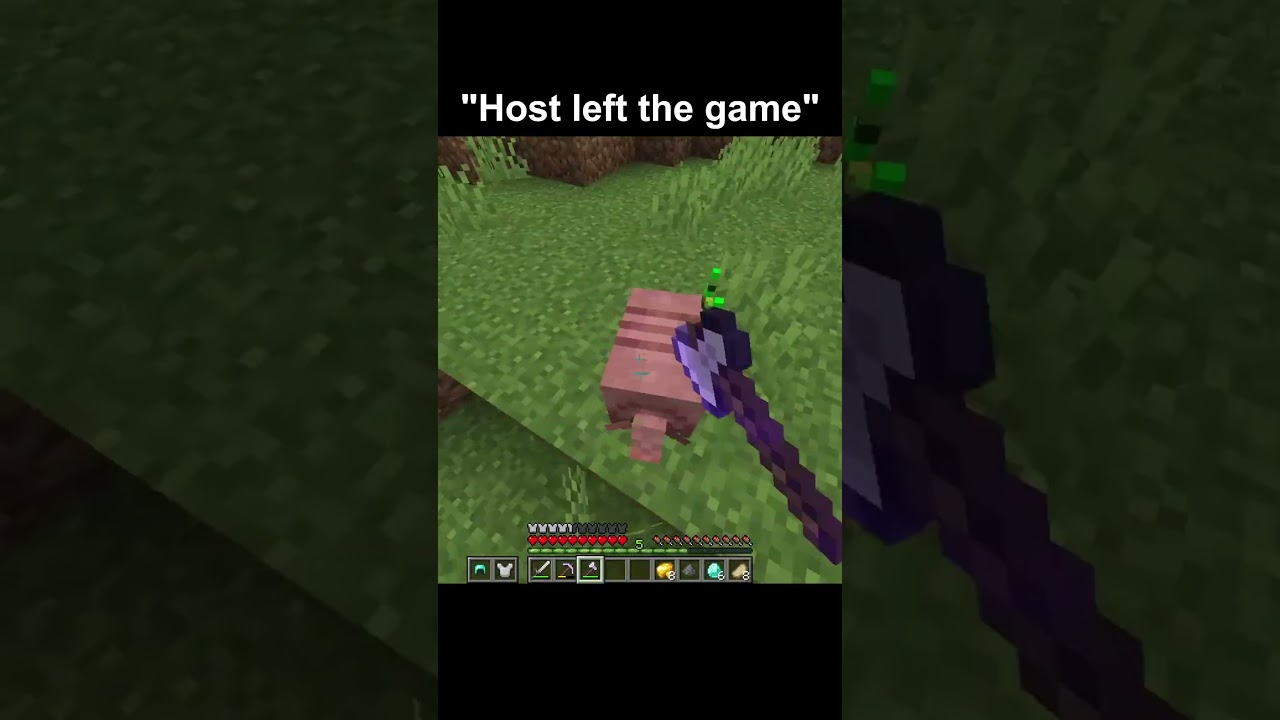 Host left the game