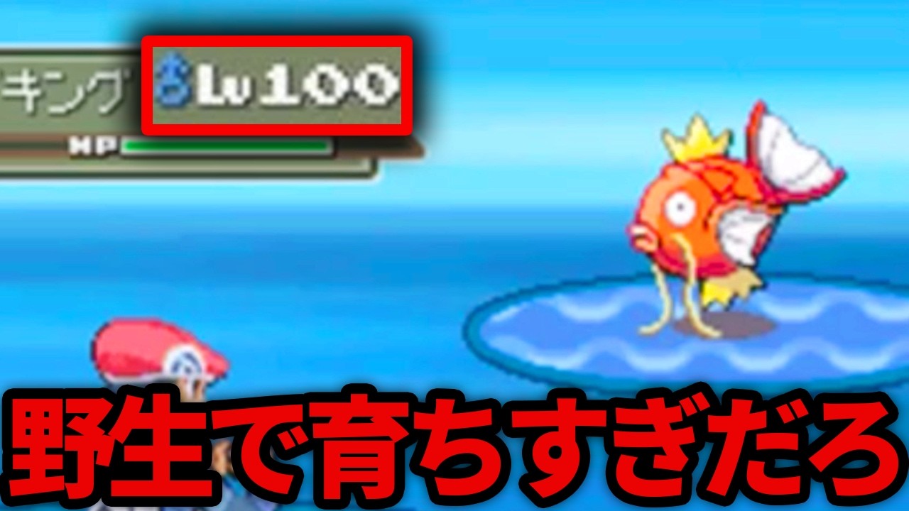 初見時にビビらせてくる高レベルなポケモン達がいるようです
