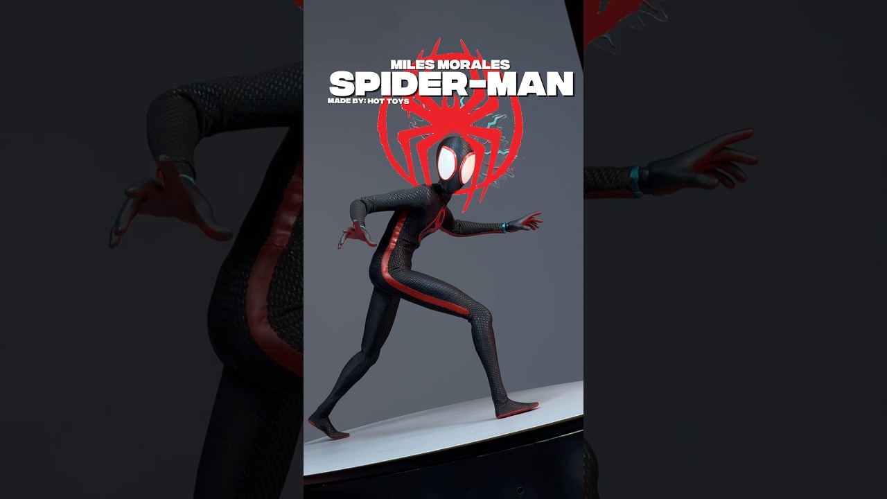 Hot Toys Miles Morales from Spider-Man: Across The Spider-Verse #hottoys #milesmorales #spiderman