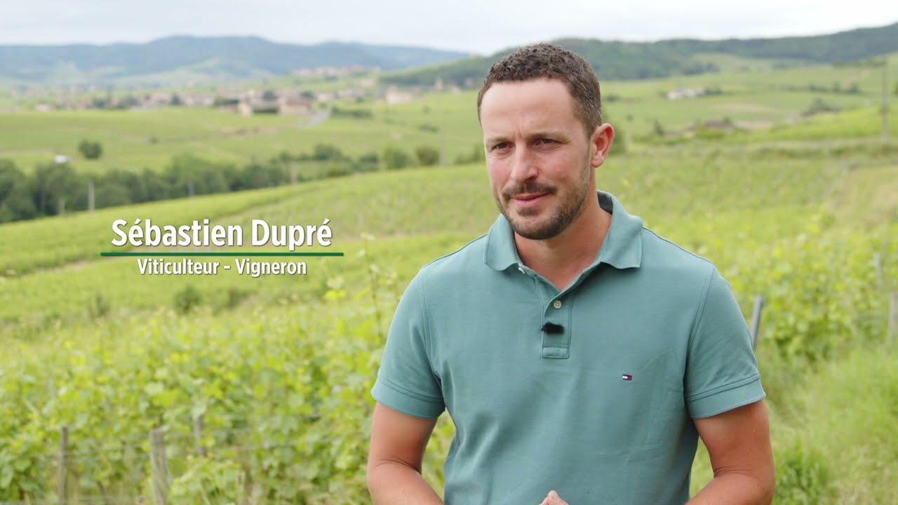 La viticulture en agroécologie - témoignage d'un viticulteur, client du Crédit Agricole Centre-est