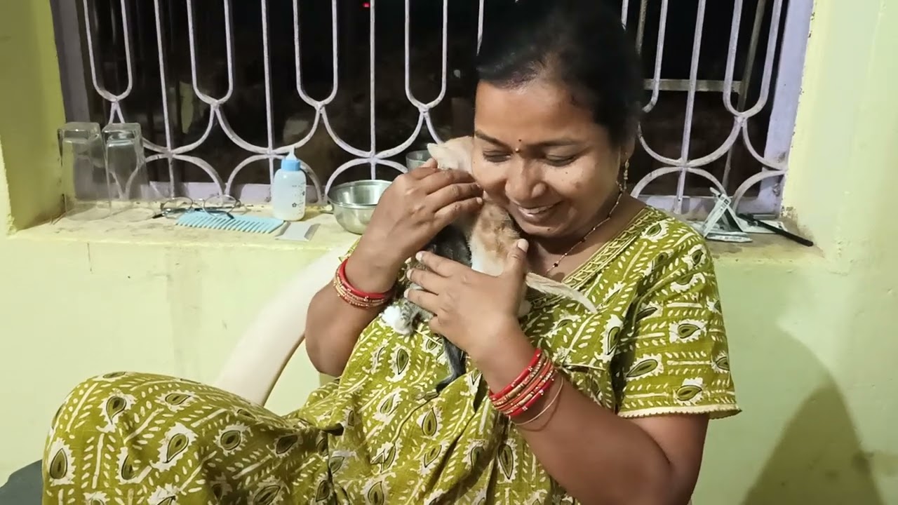 ମାଆ ଚାଲି ଗଲା ପରେ ଛୁଆ ଦୁଇଟି ବେସାହାରା ହେଇ ଯାଇଛନ୍ତି 🥺