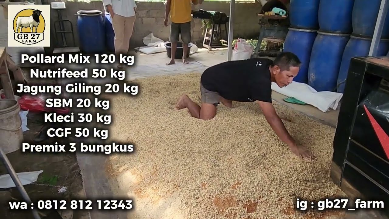 Cara Membuat Pakan Creep Feed Rahasia Cempe Sehat dan Besar