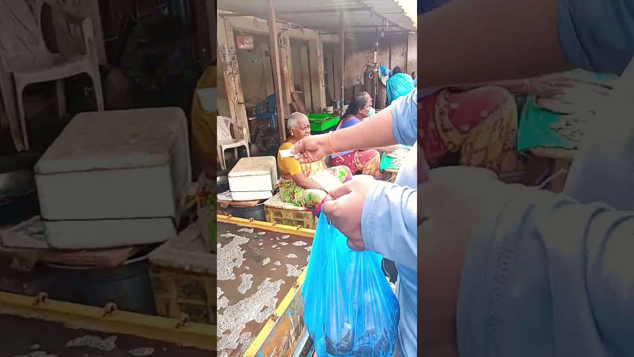 fish market in bapatla 2 #shorts