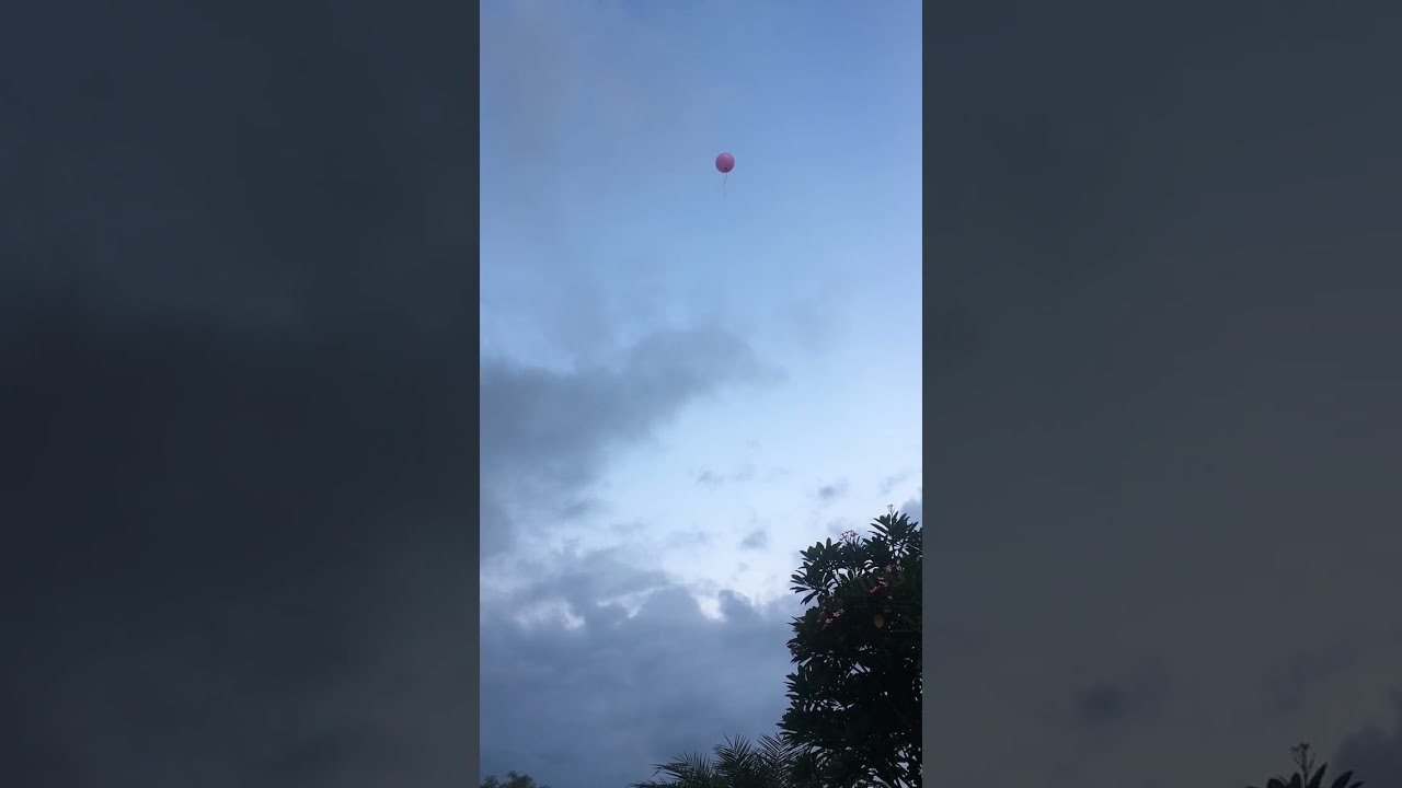 Shiloh releasing his helium balloon 🤗🎈