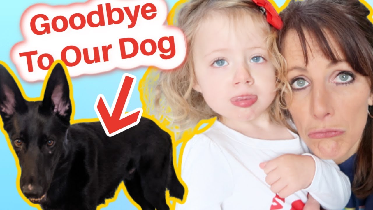 Rehoming Our Dog