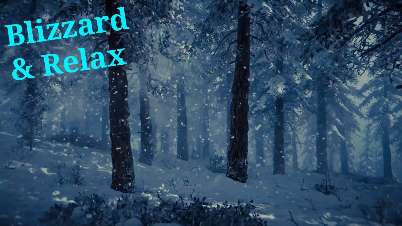Winter Forest Blizzard ASMR 🌨️❄️ 10 Hours of Howling Wind & Snowstorm for Deep Sleep