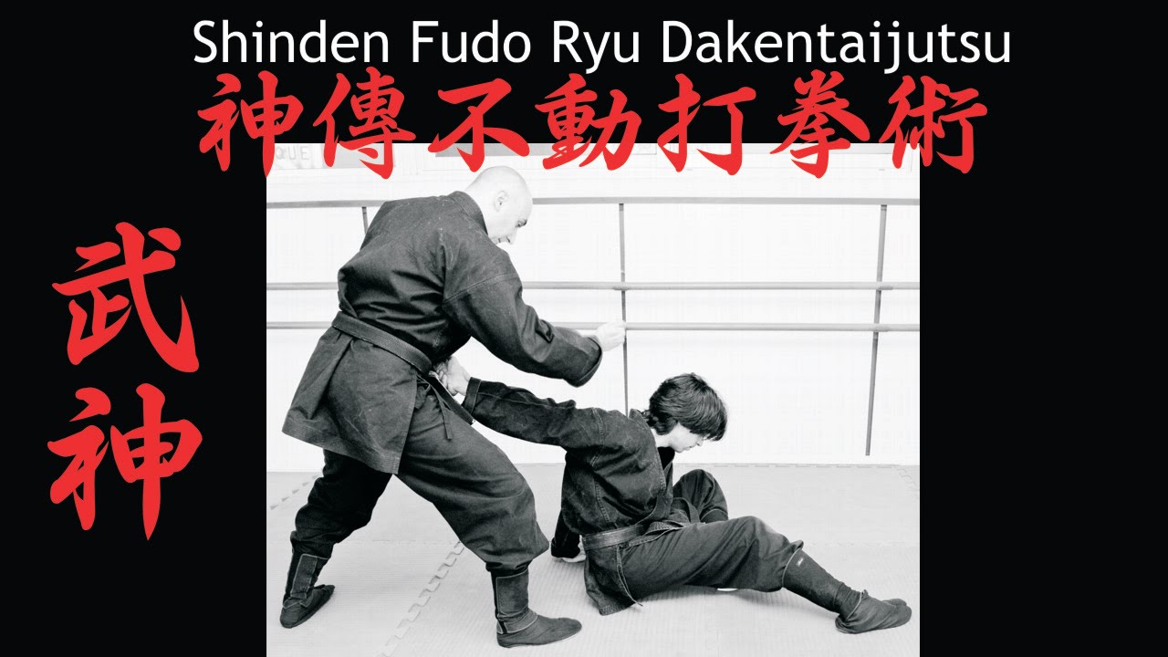 Shinden Fudo Ryu Dakentaijutsu