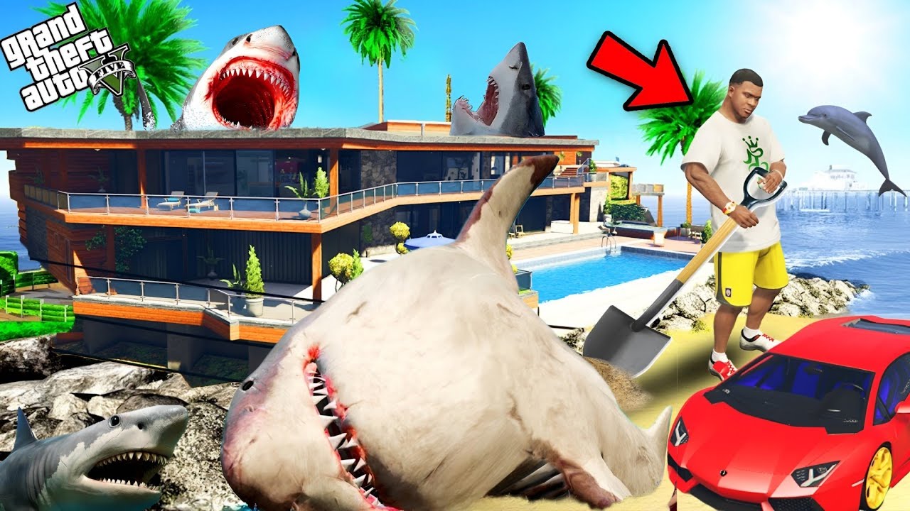 Franklin's house is filled with Monster sharks