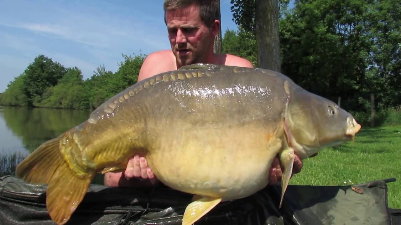 Carp fishing in France - Etang Archeveque June 2016 Danny Stanmore
