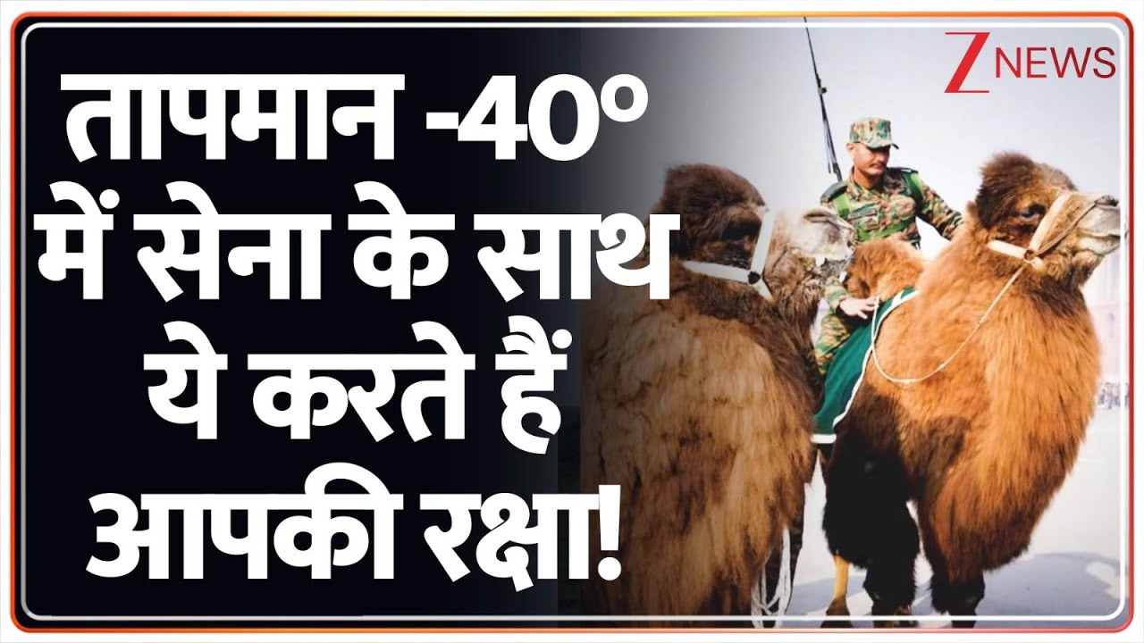 Republic Day 2026:  तापमान -40° में ये बेजुबान करते हैं आपकी सुरक्षा, देखिए रिपोर्ट | Zee News