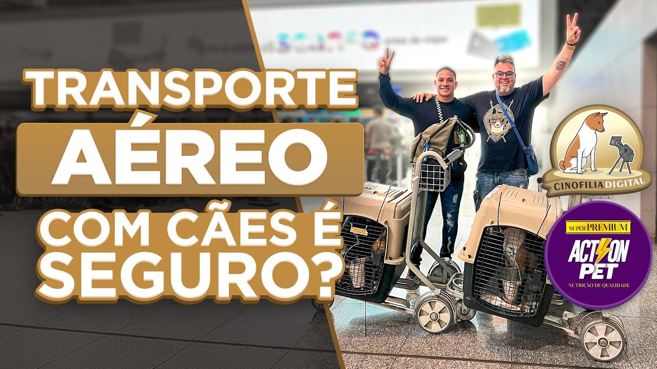 Como viajar com o cachorro no avião | É seguro? | Cinofilia Digital