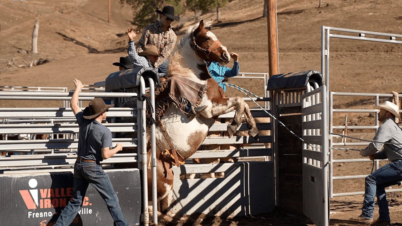 Day 2 Bronc School Feat Donnie Daytona