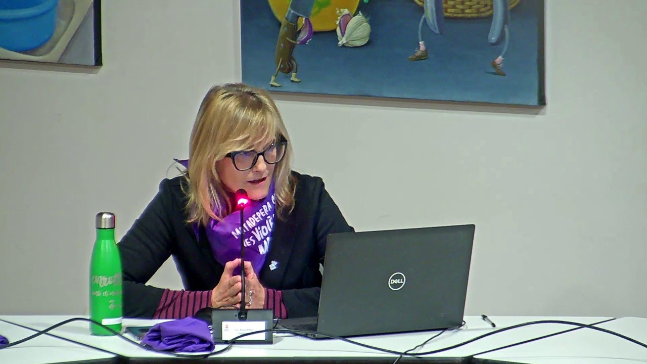 Ple ordinari de l'Ajuntament de Matadepera (24/11/2025)