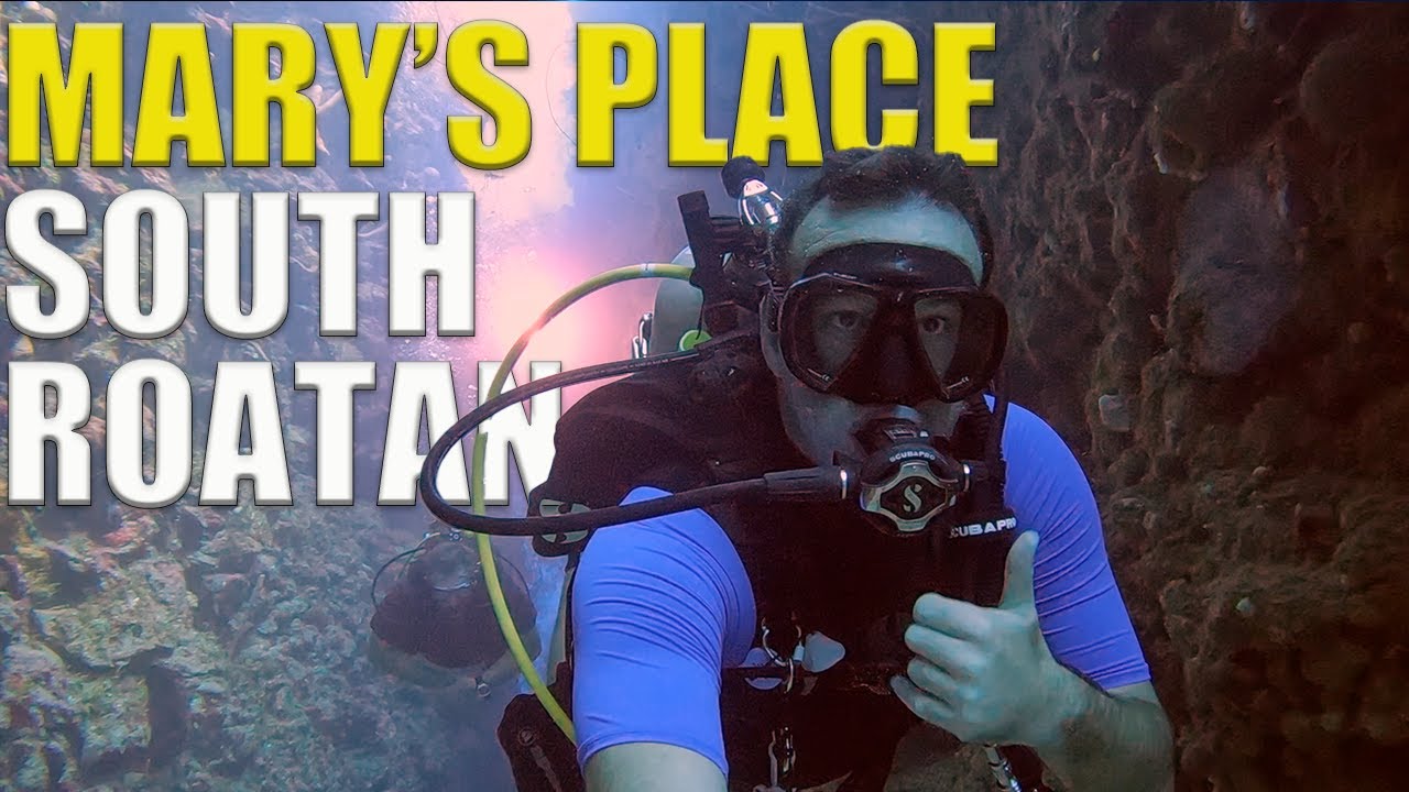 Дайвинг в Mary's Place на южной стороне Роатана - Эпизод 108