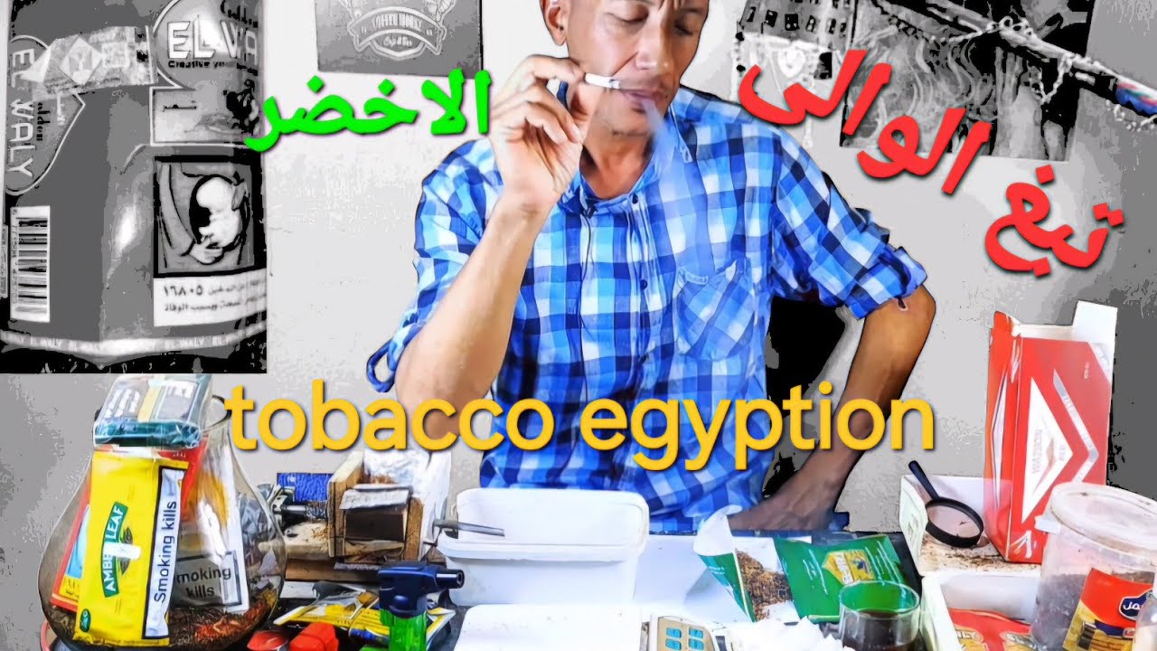 اكتشف سر تبغ الوالى الاخضرالمصري وهل يصلح بديل حقيقي للجائر المعلبه