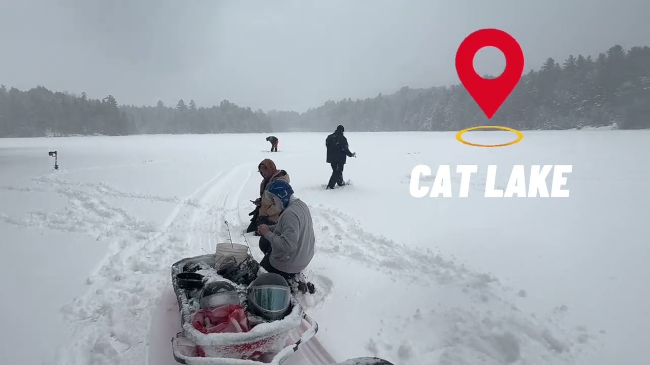 Sled Adventures