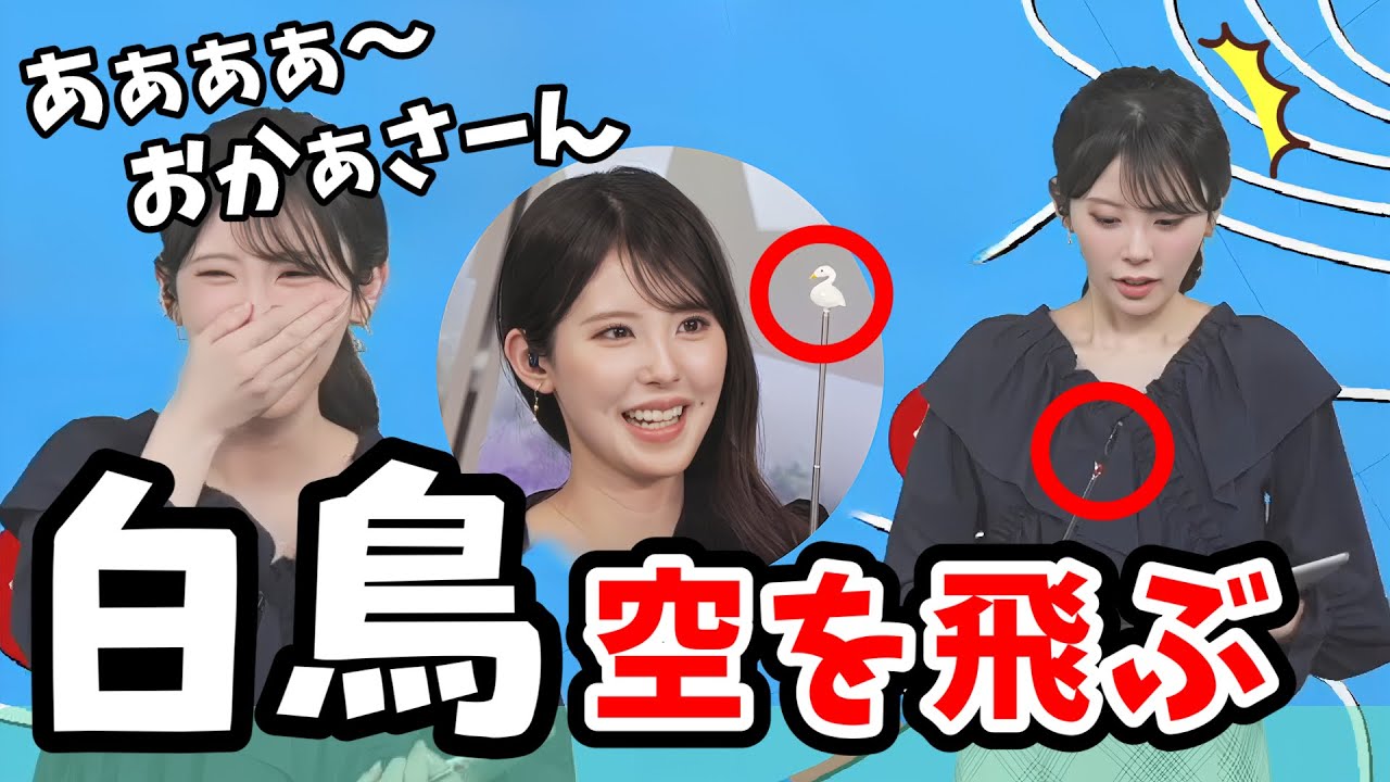 【小川千奈】白鳥の指し棒を1日で破壊してしまい取り乱すせんちゃん【ウェザーニュース切り抜き】