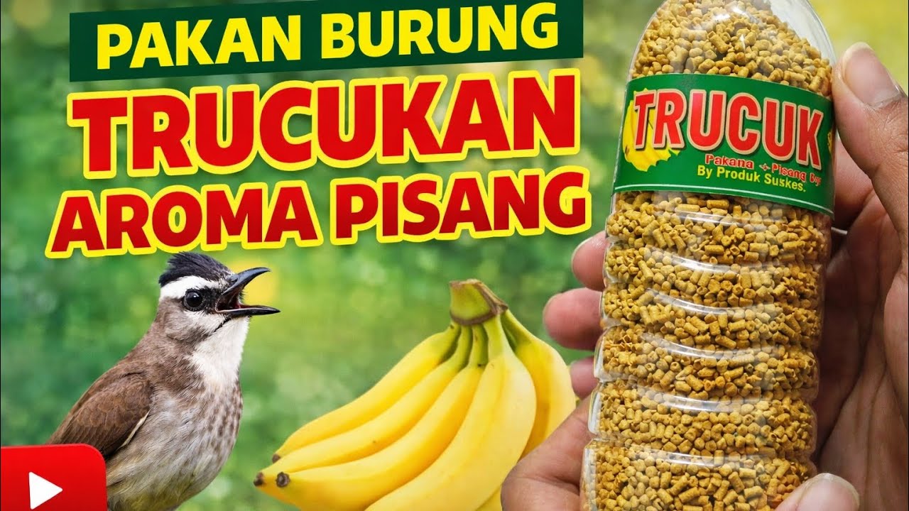 UNBOXING Pakan Burung Trucukan Aroma Pisang | Wangi & Bikin Gacor?