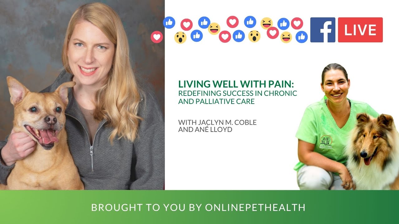 Living Well with Pain: Redefining Success in Chronic and Palliative Care, Jaclyn M. Coble
