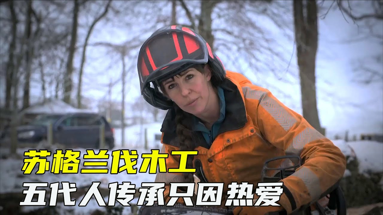 苏格兰伐木工人，150年传承5代人，全自动化机械伐木效率高
