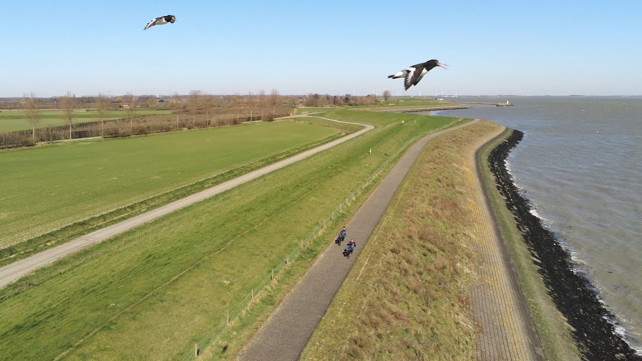 Liggen uit de hoogte