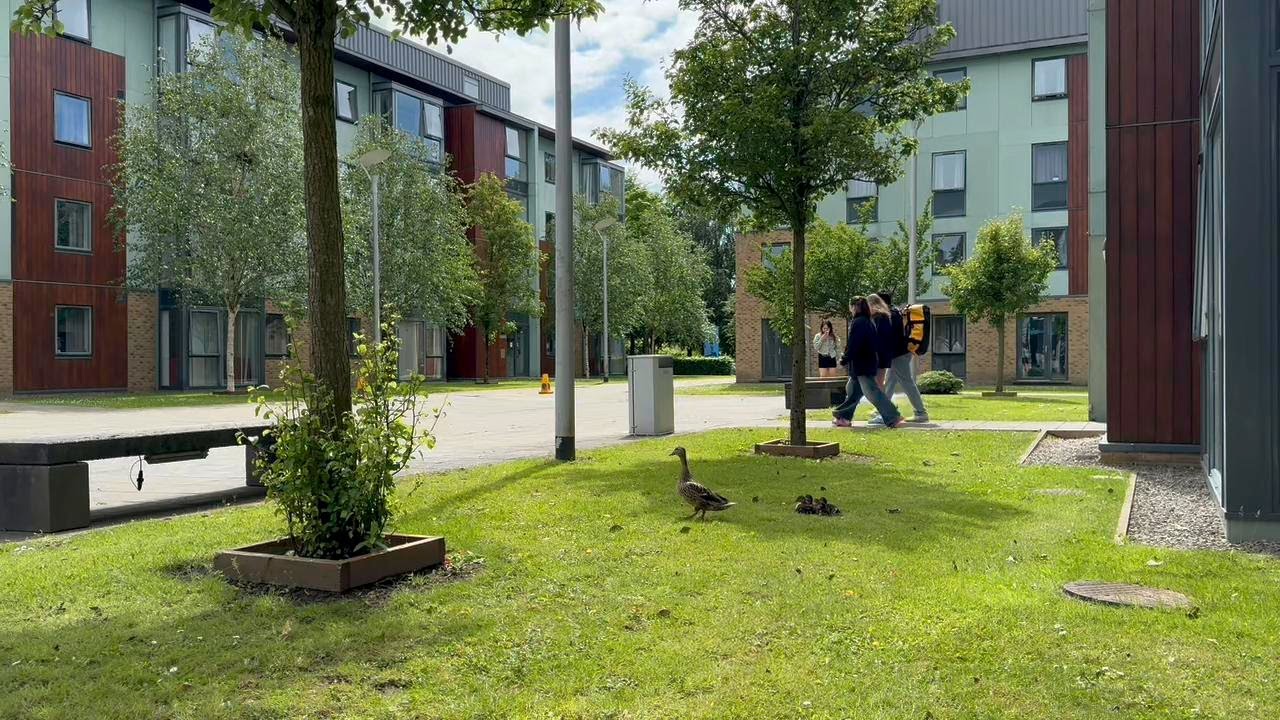 Accommodation | Grizedale College (Lancaster University)