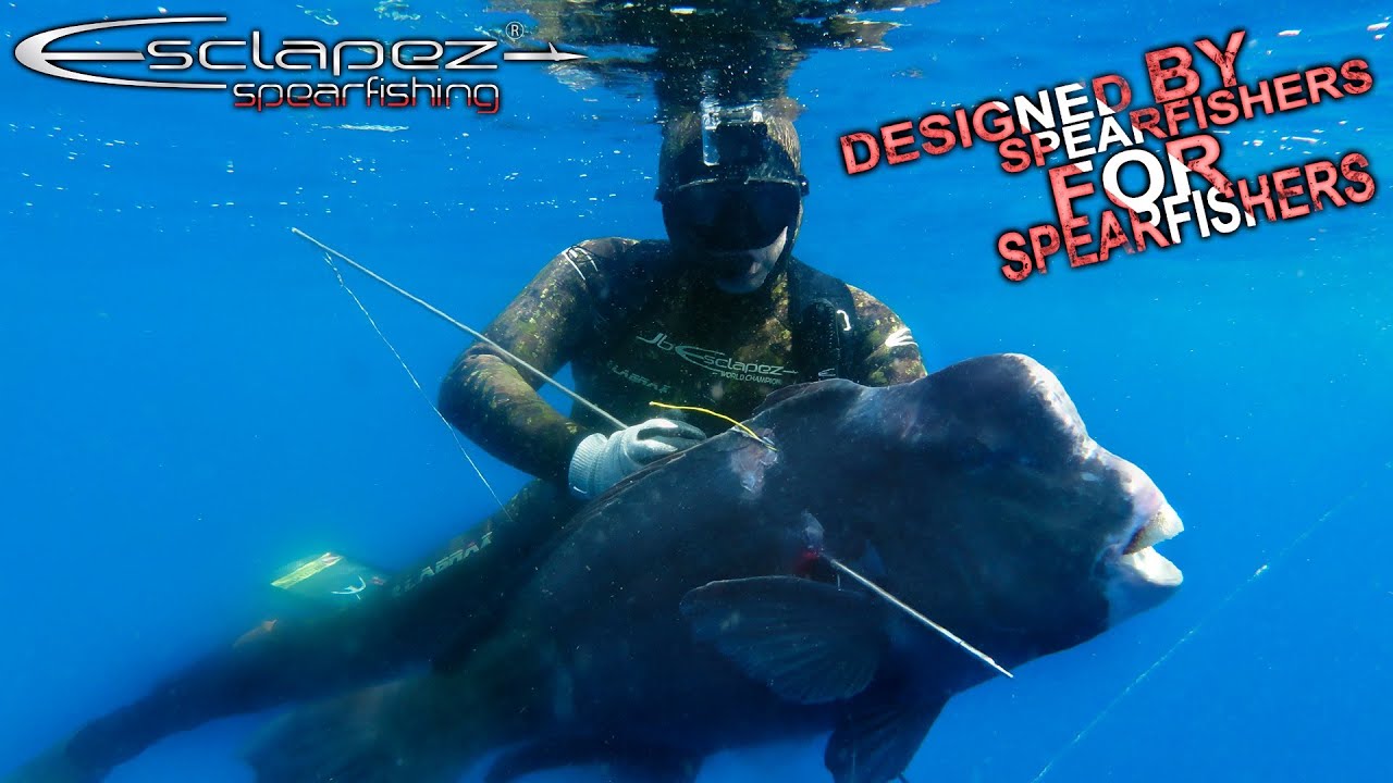 Chasse sous-marine Madagascar. Le deuxiéme Perroquet à Bosse, Spearfishing Madagascar