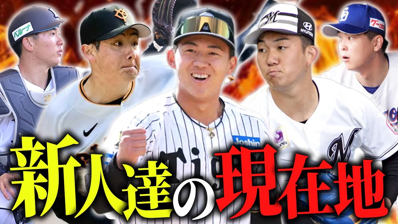 【キャンプ2026】今年もドラ１ルーキーが新人王濃厚！？ドラ１戦士のキャンプを徹底考察！SP【プロ野球】