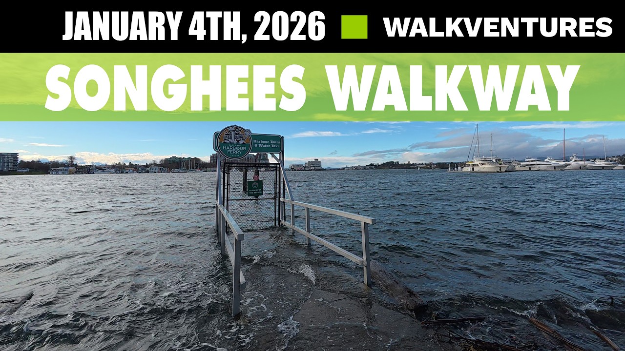 King Tide along Songhees Walkway [4K] January 4th, 2026 - DJI Action 6