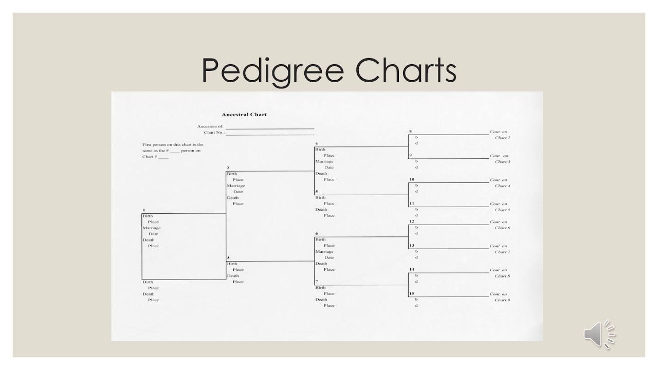 Genealogy 101
