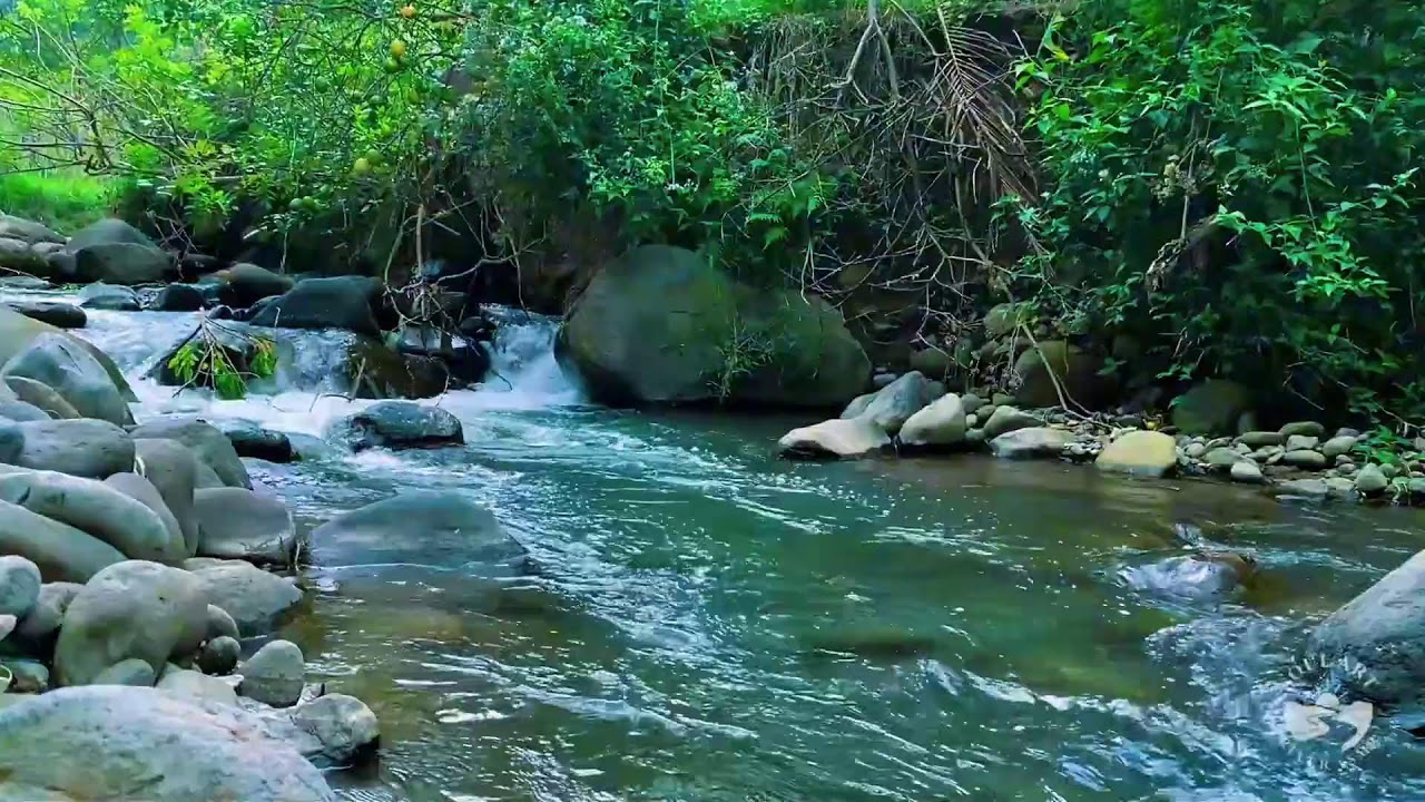 River Sounds for Sleeping. Soothing Forest Stream Ambience for Sleep and Meditation #river 2