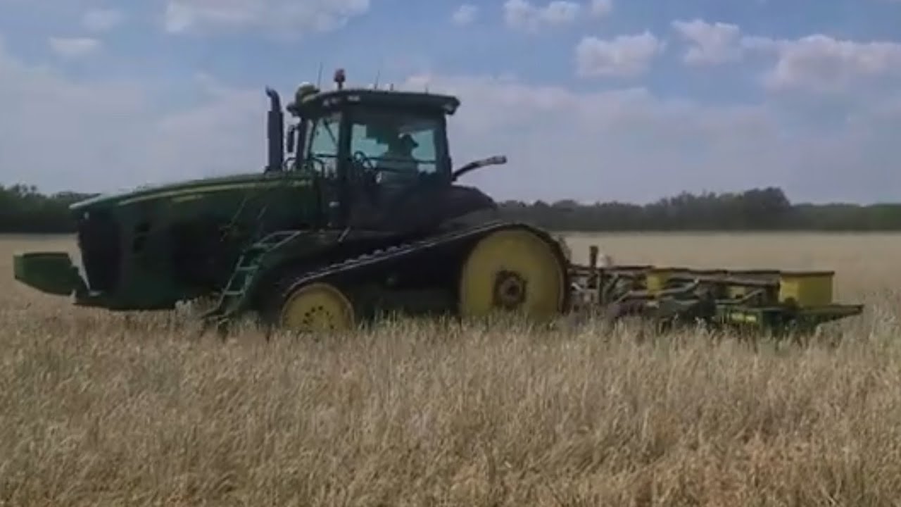 Planting regenerative seed corn in standing cover crop, view from the field.