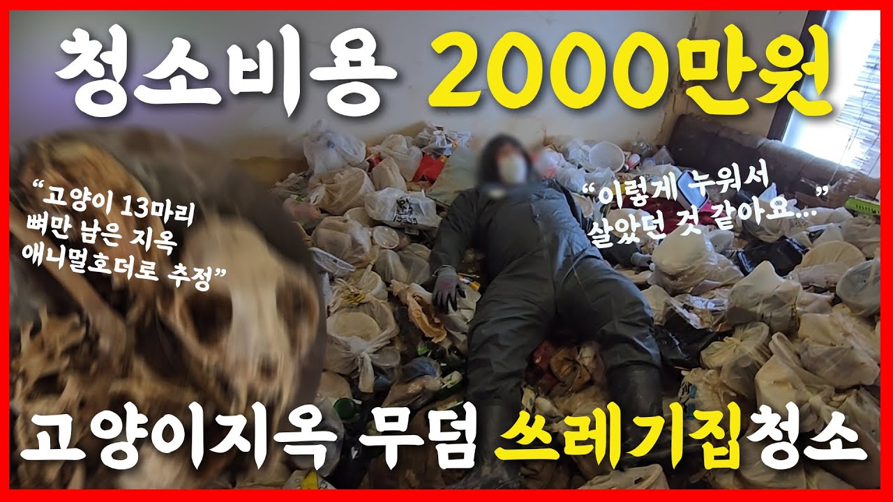 청소비용 2000만원? 고양이 사체 13구!! 지옥의 무덤 쓰레기집 청소