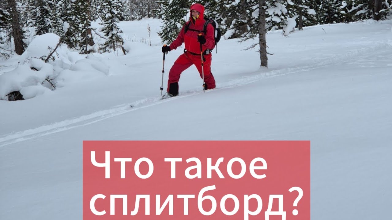 Что такое сплитборд?