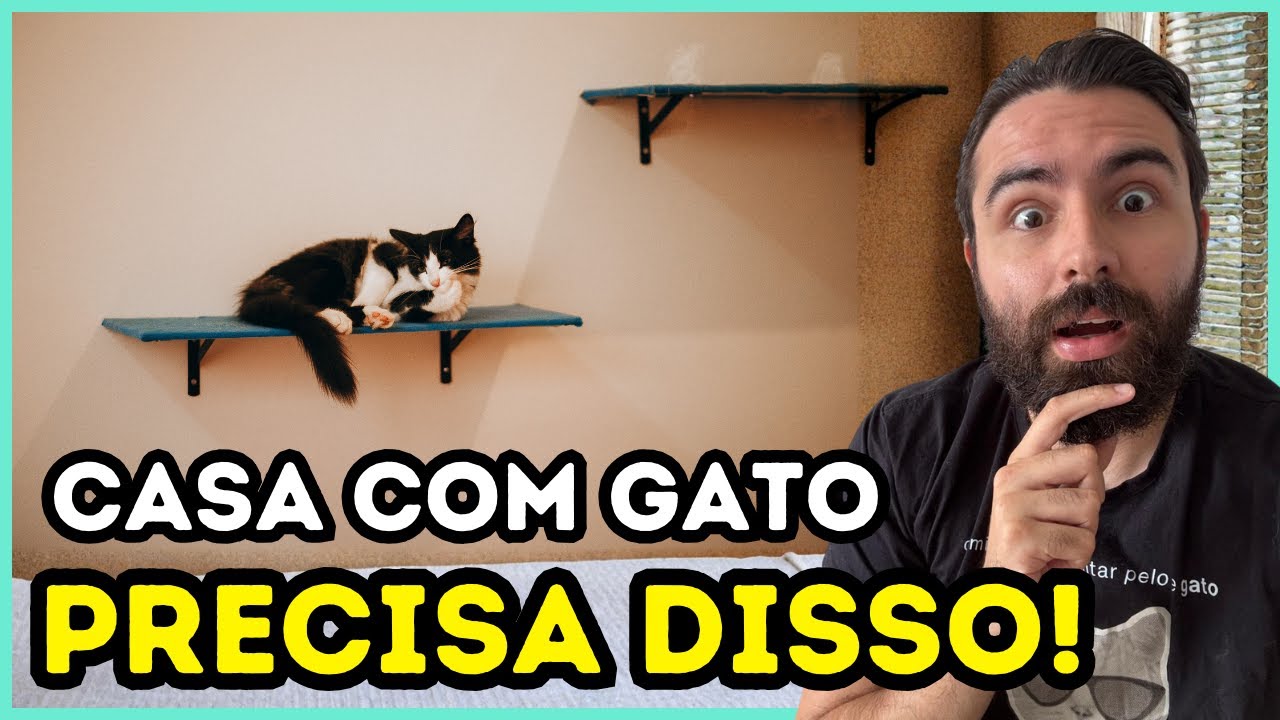 Se Você Tem VÁRIOS Gatos, Sua Casa PRECISA Ser Estruturada ASSIM!