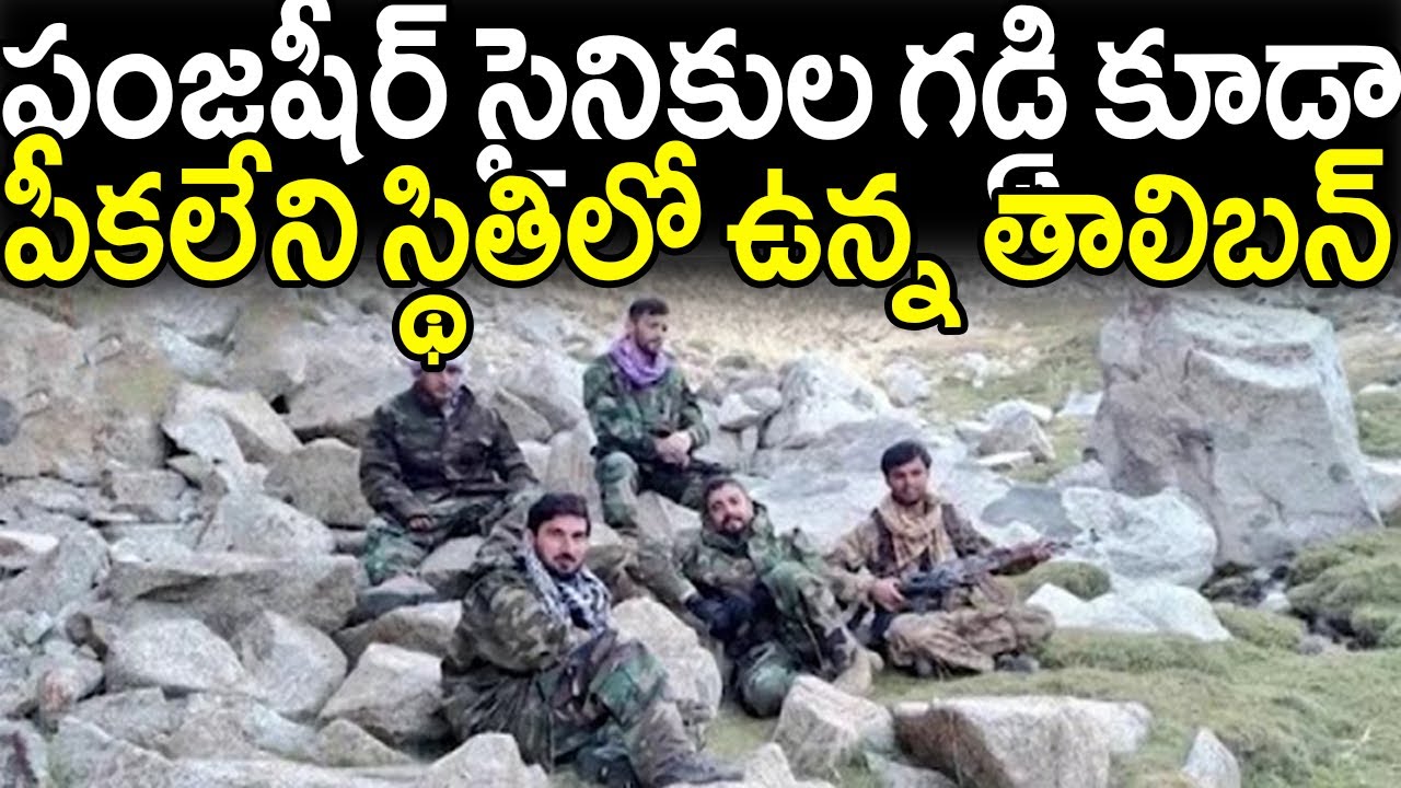 కనీసం పంజ్ షీర్ సైనికుల గడ్డి కూడా పీకలేని స్థితిలో ఉన్న తాలిబన్.! || Vijay Facts