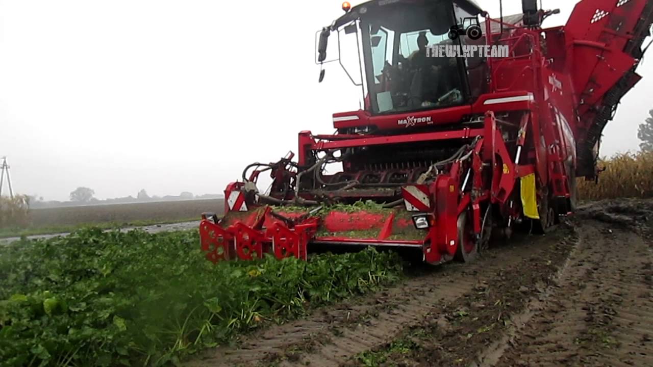 🌱BURAKI 2016🌱 || Full HD || 21.10.16r. || Grimme Maxtron 620 || TheWlkpTeam ``)