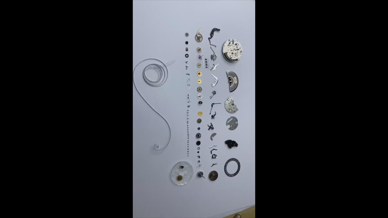 Tissot Couturier Maintaining  Vlog.  Can you accept plastic components for the movement?
