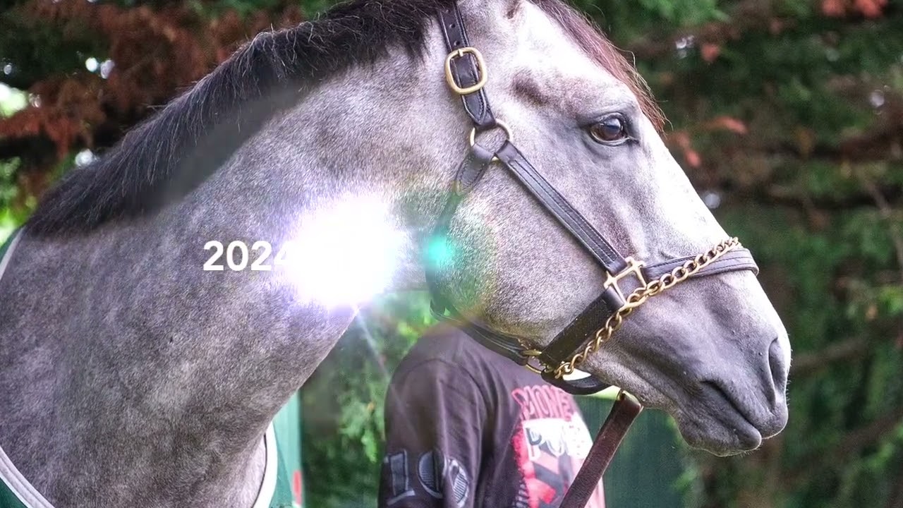 Seize The Grey at Highlander Training Center