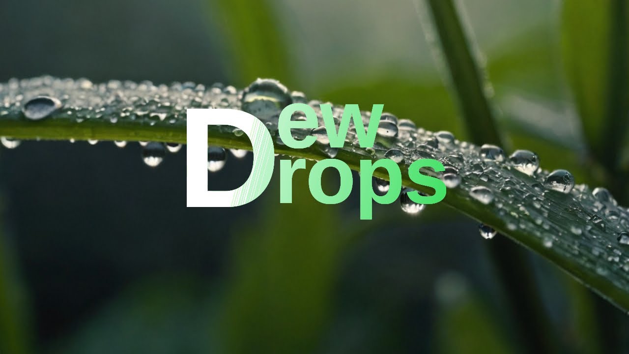 Akseles-Dew Drops