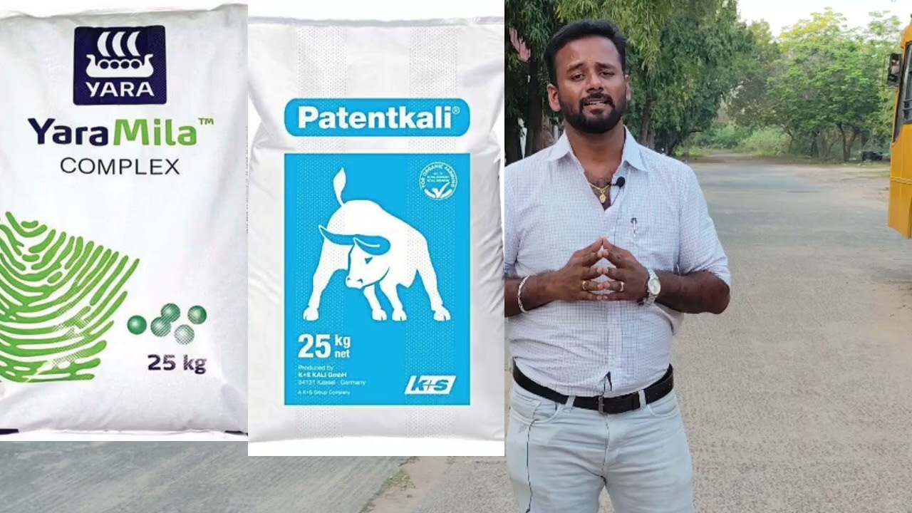 சின்ன வெங்காயம் 10 டன் மகசூலுக்கு இந்த உரம் அவசியம்