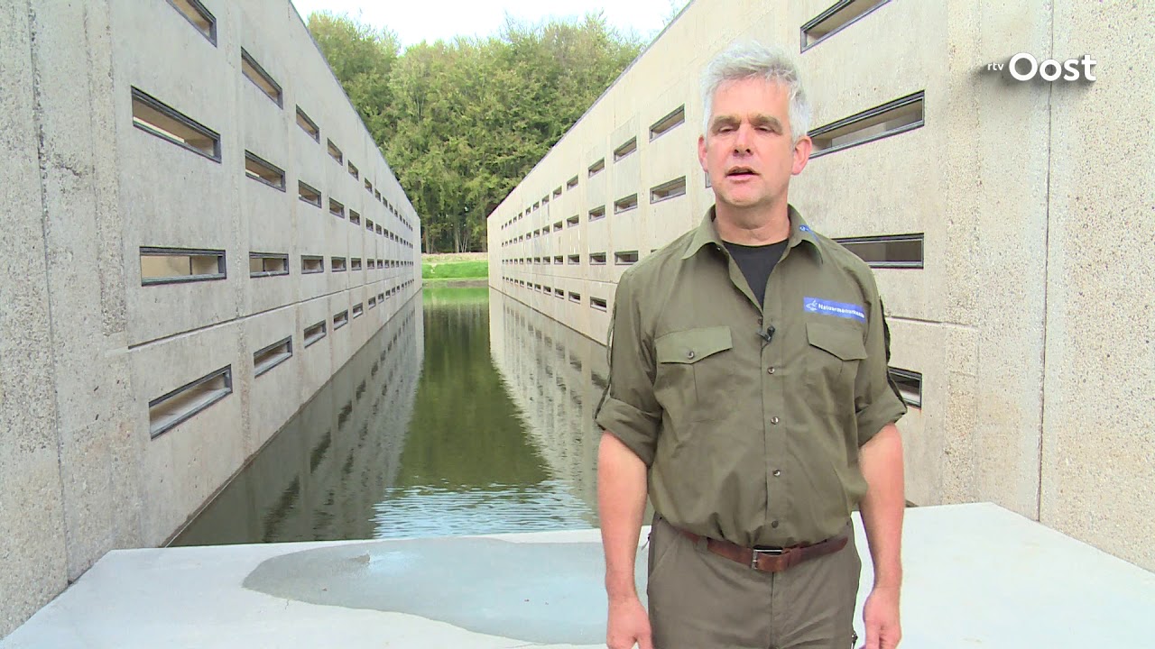 Steeds meer mensen ontdekken het Waterloopbos: een dijk van een verhaal