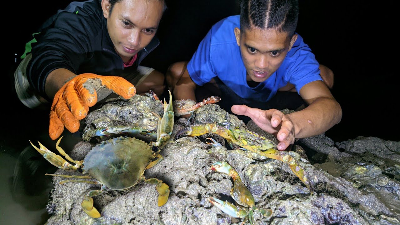 NIGHT HUNTING OF SEASHORE CRABS  | CATCH & COOK DAWAT CRABS