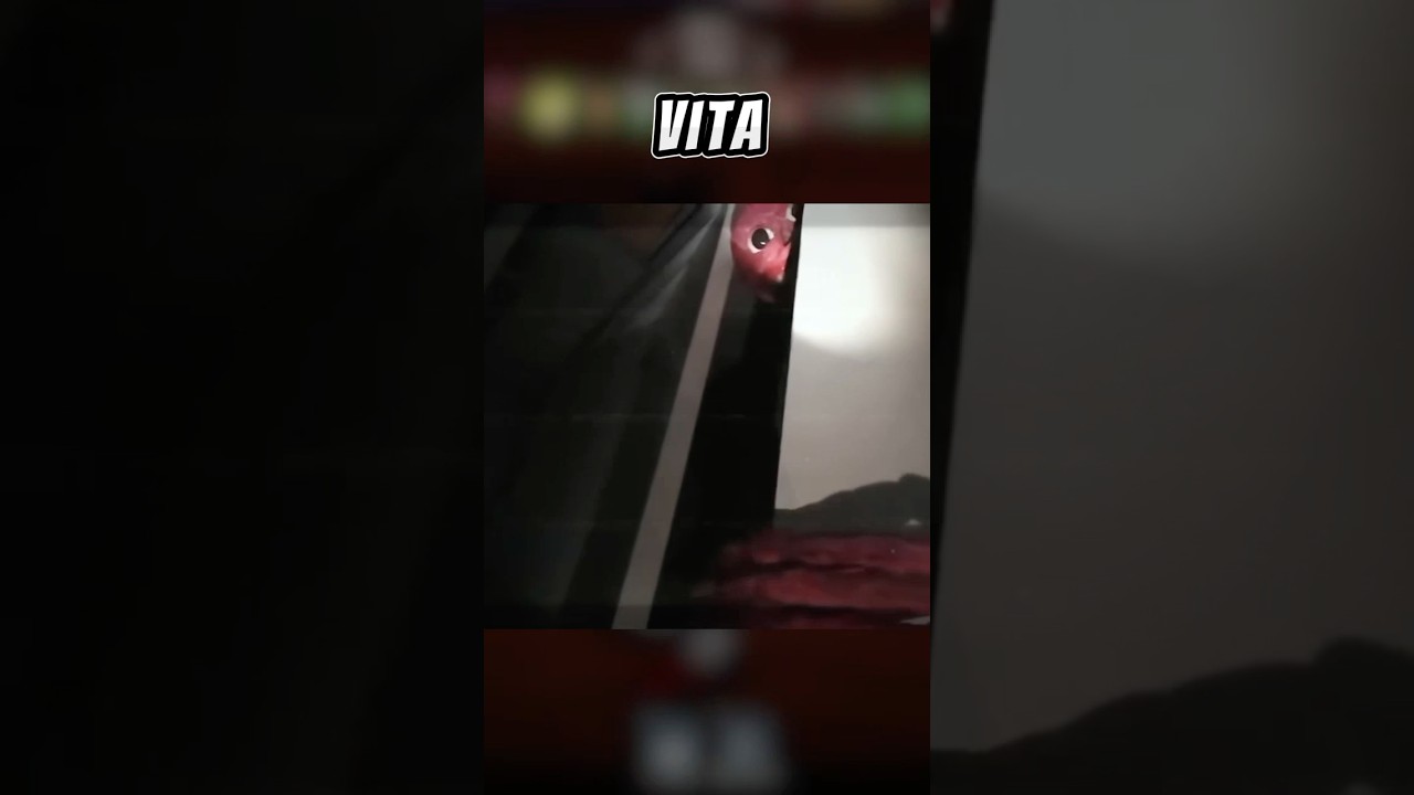ИСТОРИЯ ЭТИХ МОНСТРОВ, ПРЕСЛЕДУЮЩИХ СТОЛПЫ #pillarchase2 #roblox #robloxhorror #baldi #pillarchase