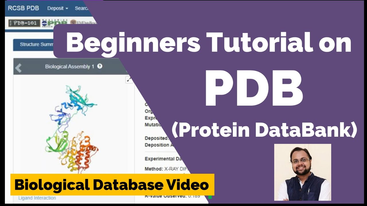 Учебное пособие по базе данных PDB — руководство для начинающих