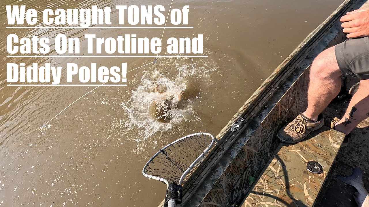 Catching Tons Of Catfish On Diddy Poles and Trotlines! || River Catfishing