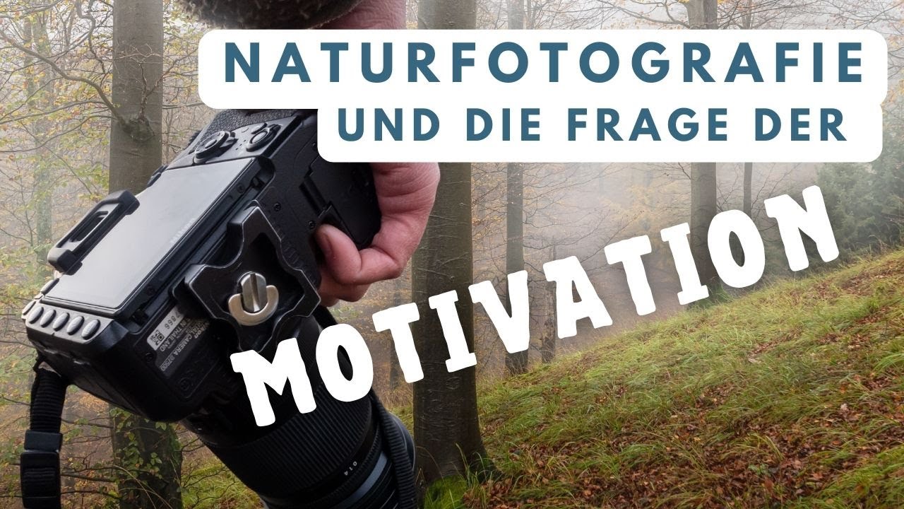 Fotografieren in der Natur: 5 Gedanken dazu, wie ich meine Motivation und Kreativität erhalte
